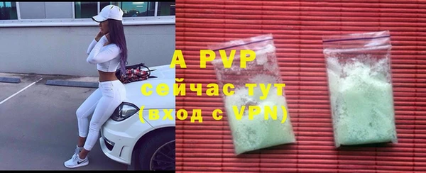 дмт Богданович