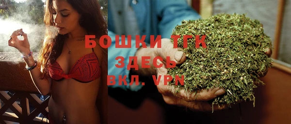 стафф Аркадак
