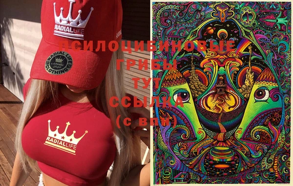 прущая мука Богородицк