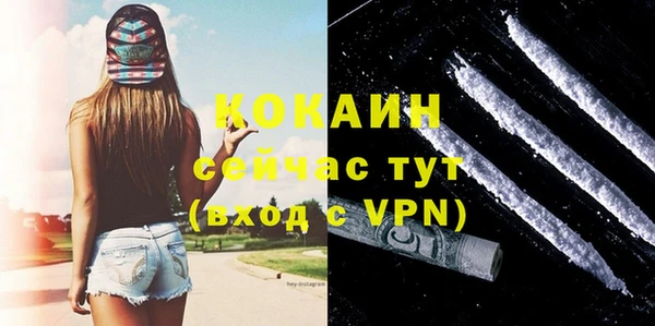 прущая мука Богородицк