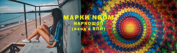 дмт Богданович