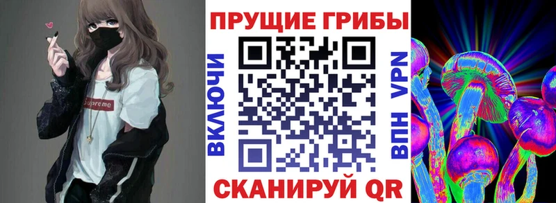 продажа наркотиков KRAKEN вход Галлюциногенные грибы ЛСД Улан-Удэ