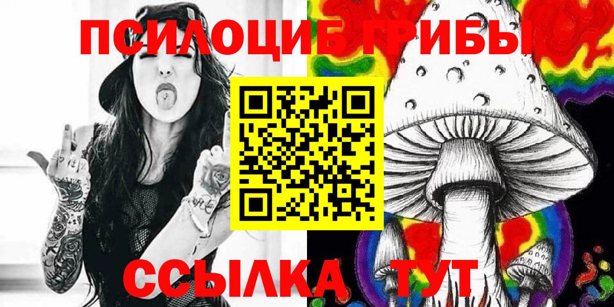 Улан-Удэ  Псилоцибиновые грибы MAGIC MUSHROOMS  где можно купить   Вход с VPN  Галлюциногенные грибы Psilocybe 